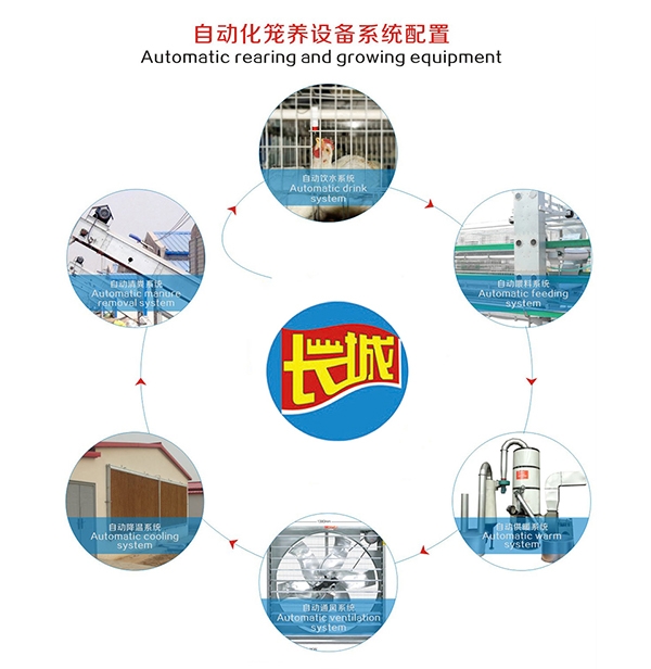 肉鸡自动饮水系统