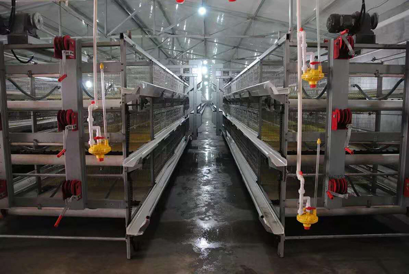 你知道肉鸡装备加料机的组成吗？？