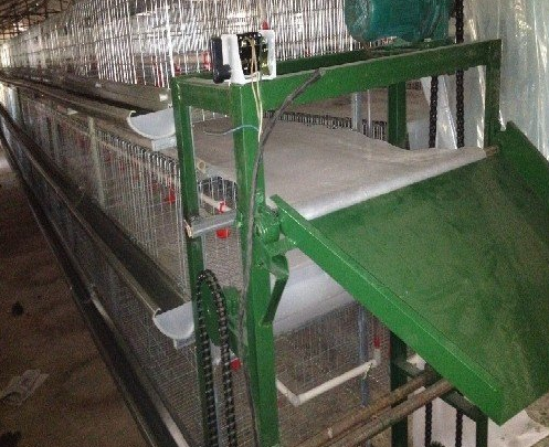 蛋鸡装备传送带式清粪机常见的这些问题你都知道吗？？