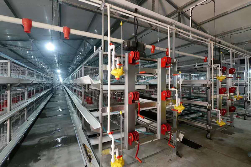 全自动养鸡装备的种类及特点你知道吗？？