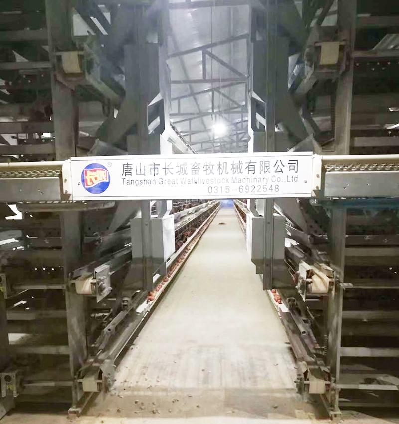 若是您想用自动化装备养蛋鸡，，，，，哪些蛋鸡装备是必不可少的？？？？