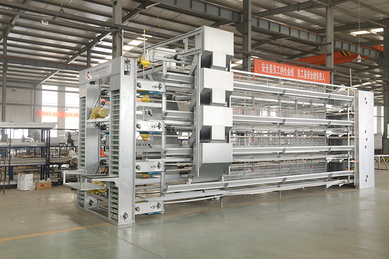 用全自动养鸡装备养鸡疾病防治的要点