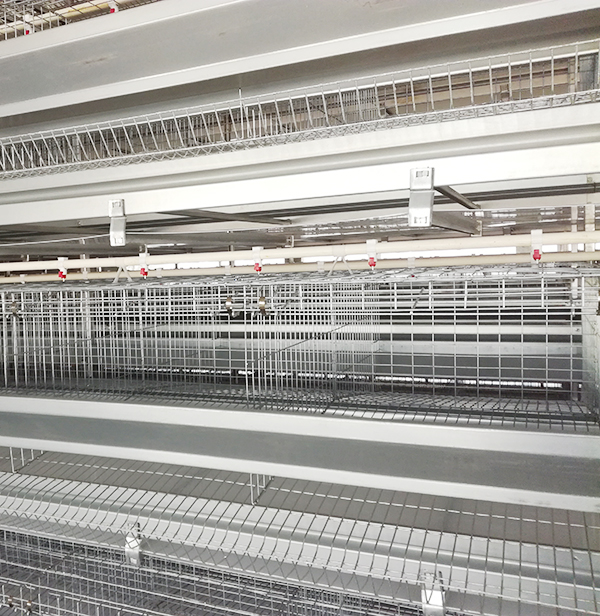 降低蛋鸡装备风机噪音的要领